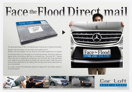 Carloft Auto Import : Face the Flood